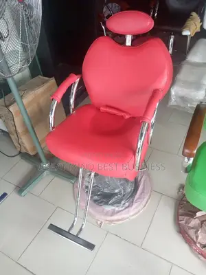 Executive Saloon Chair
