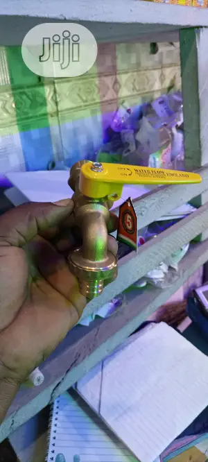 Wall Water Tap