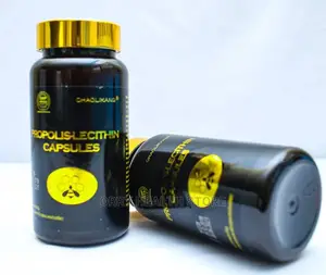 Propolis Licethin Suppresses Tumor Improves Immunity