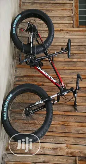 Road Master Fat Tire Bicycle (26 Inches)