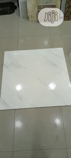 100X100 Floor Tiles