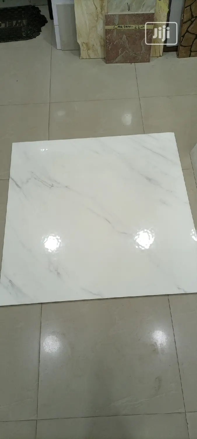 100X100 Floor Tiles