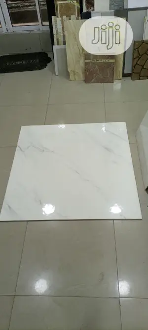 100X100 Floor Tiles