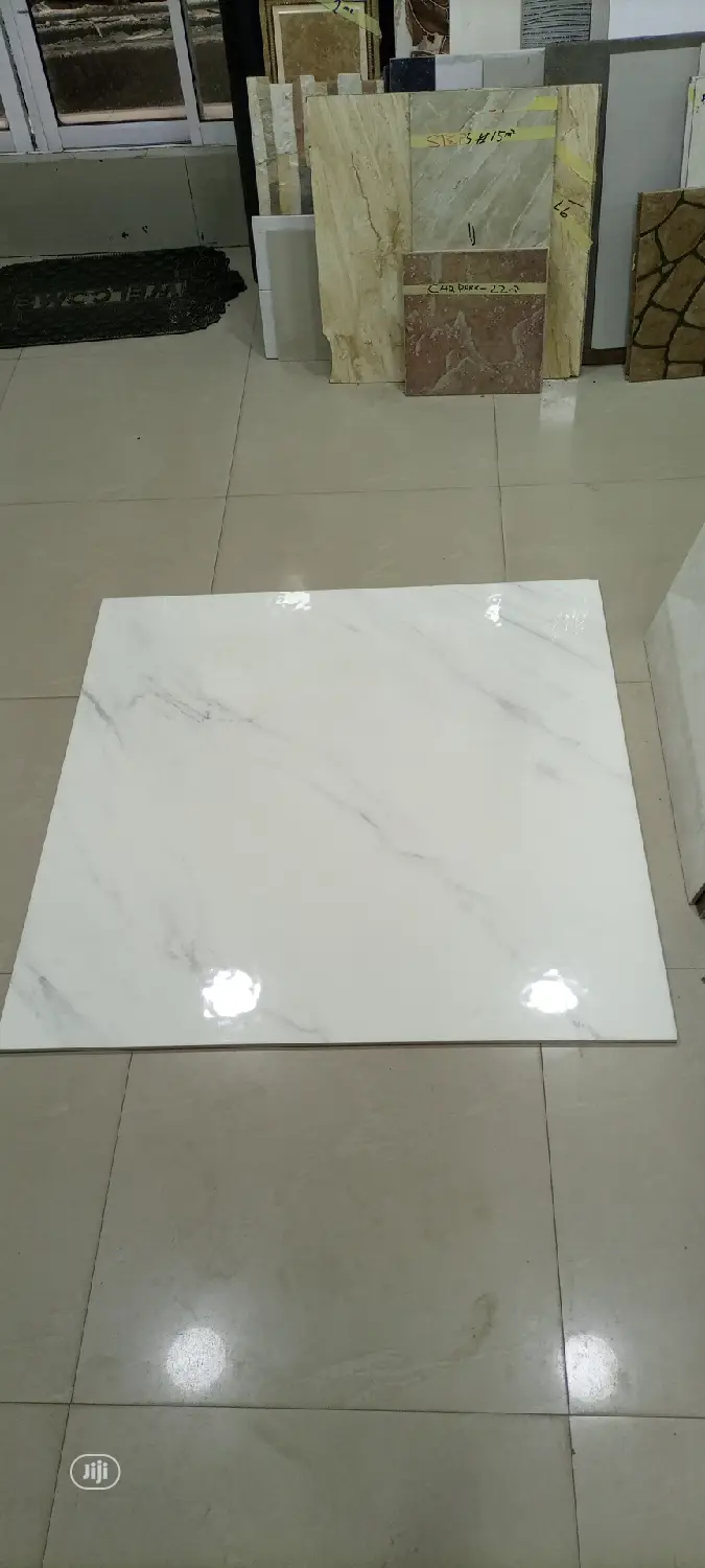 100X100 Floor Tiles
