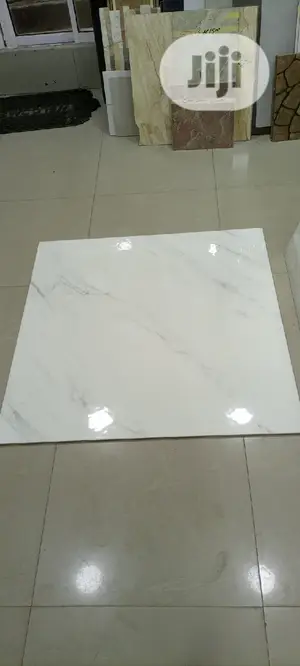 100X100 Floor Tiles