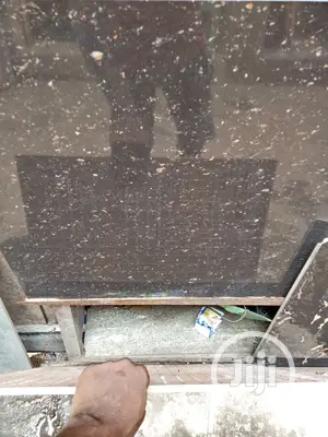 Spotted Black Tiles From China