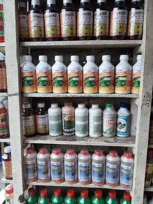 Insects Chemical