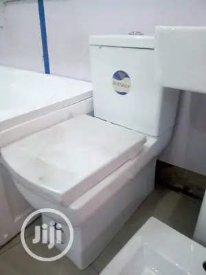 Executive WC With Wash Hand Basin And Pedestal Complete Set