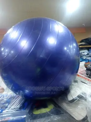 Gym Balls G241
