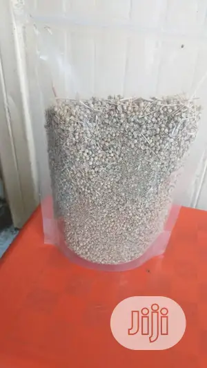 Coriander Seeds