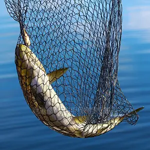 Amazing Big Cast Net Fishing,Amazing Big Cast Fishing Net