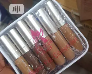 Adventure Proconcealer