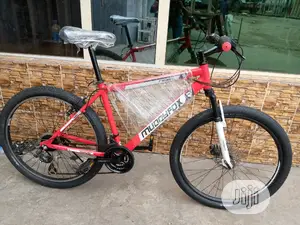 Sport Bicycle Big Tyre