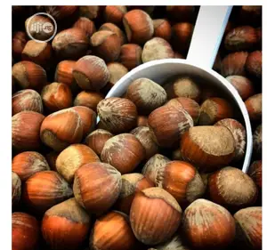 Hazel Nuts Packed With Vitamin E,Protein,Dietary Fibre 250g