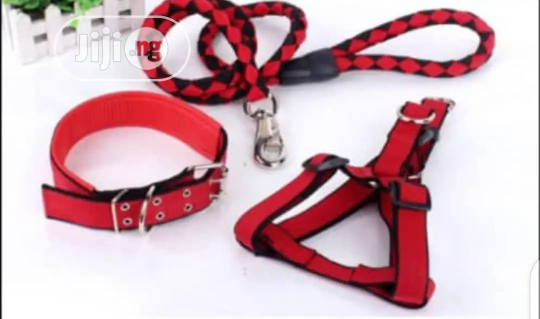 Large Dog Harness, Leash and Collar