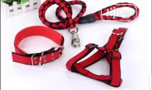 Large Dog Harness, Leash and Collar