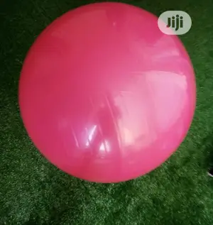 75cm Gym Exercise Aerobic Ball