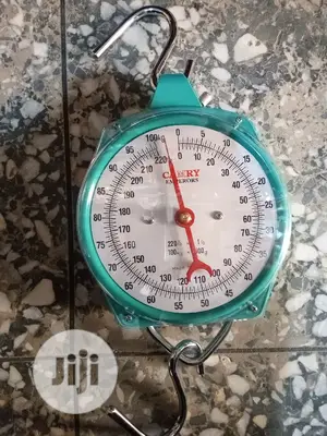 Hanging Scale