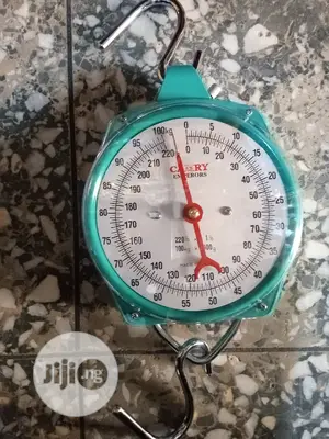 Hanging Scale