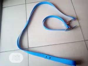 Dog Lead and Collar