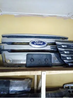 Ford Edge 20013 Model Front Grille