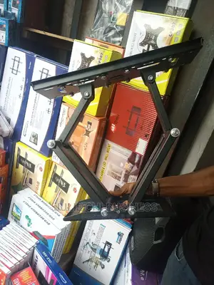 Original Bracket Double Hand for 65" N Many More
