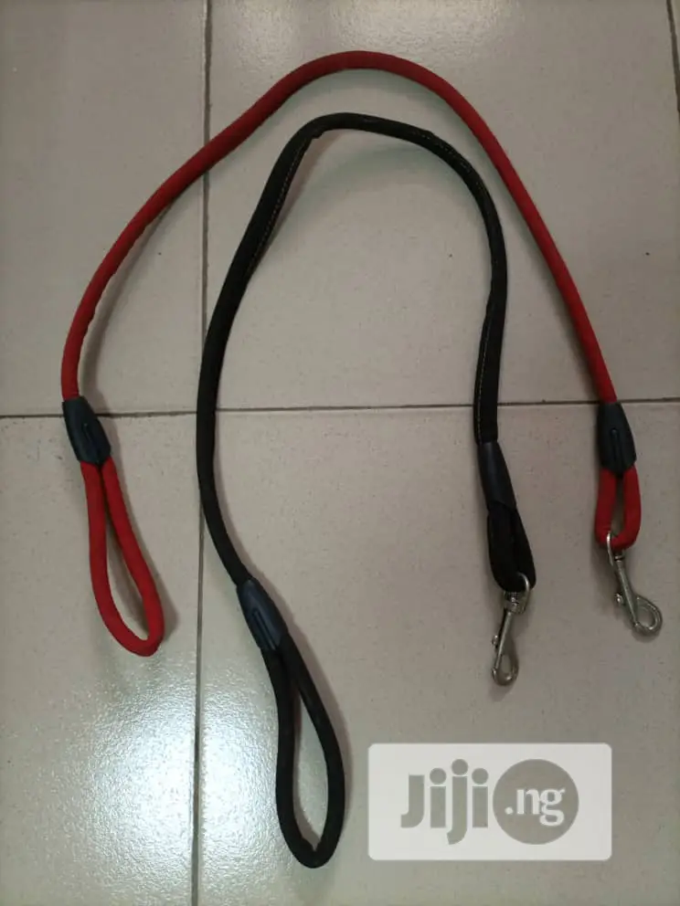 Solid Nylon Dog Lead Leash