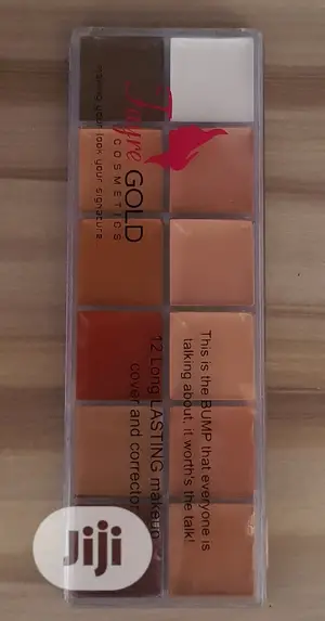 Fayre Gold Concealer Pallet