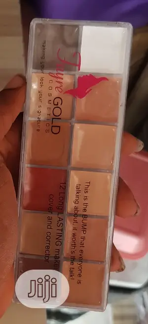 Fayre Gold Concealer Pallet