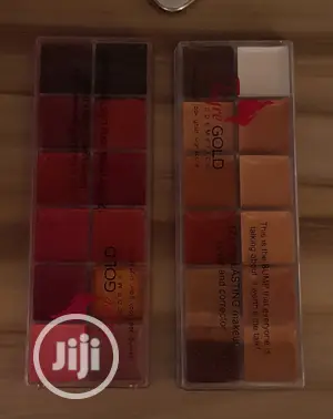 Fayre Gold Lip Pallet and Concealer