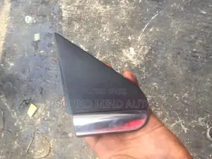 Side Mirror Pad for Ford Edge 2013 Model
