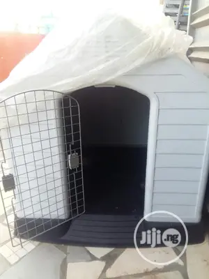 Pet Dog in Door House