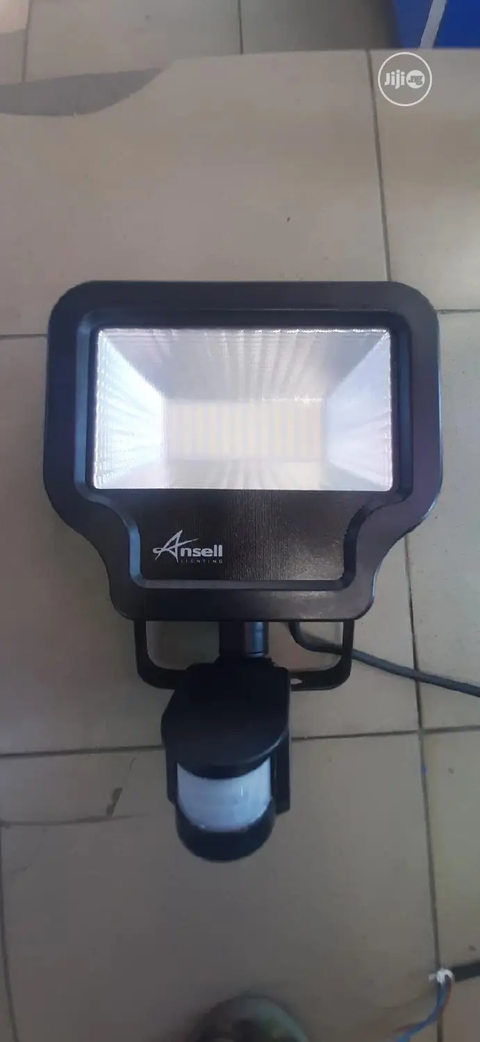 Flood Light With Motion Sensor...