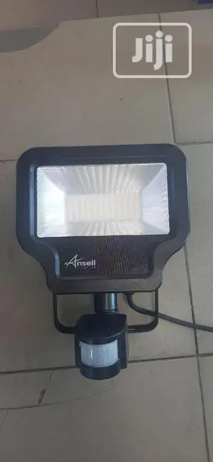 Flood Light With Motion Sensor...