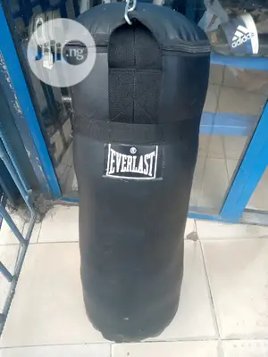 Big Everlast Punching Bag