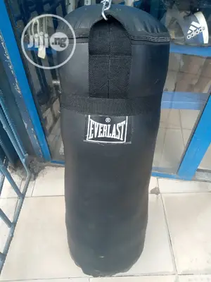 Everlast Punching Bag