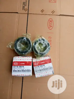 Back Wheel Bearing Kia Sportage 2010