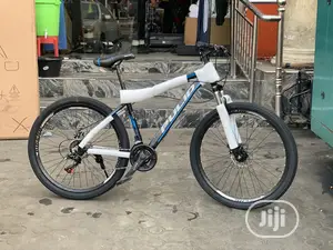 Adult Mountain Bicycle