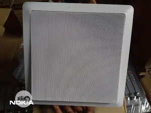 Original Professional Lucky Tone Ceiling Speaker 40watts