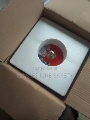 6kg Automatic Fire Extinguisher