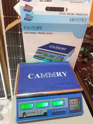 40kg Digital Scale