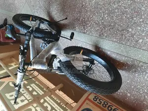 Fat/ Big Tire Bicycle