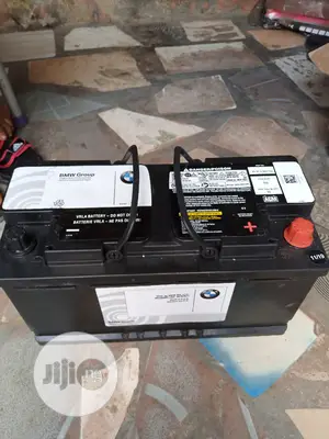 Original Bmw Battery
