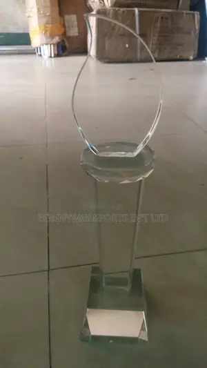 Presentation Award Glasses