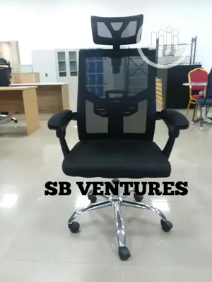Ergonomic Net Chair