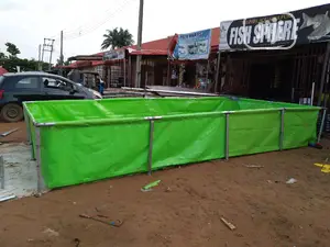 Lemon Tarpaulin Fish Pond