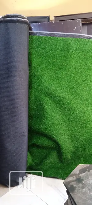 Carpet Grass