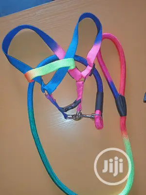 Rainbow Puppy Harness and Leash