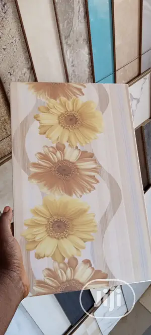 Wall Tiles 25*40