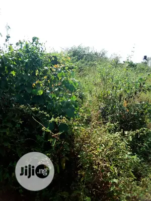 Standard Land for Sale. Gazetted and Survey Dangote Refinery Roads